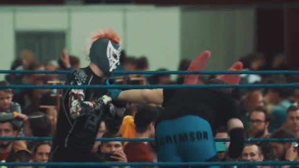 SAINT PETERSBURG, RUSSIA - 20 MAGGIO 2017: Due lottatori combattono sul ring al festival indoor — Video Stock