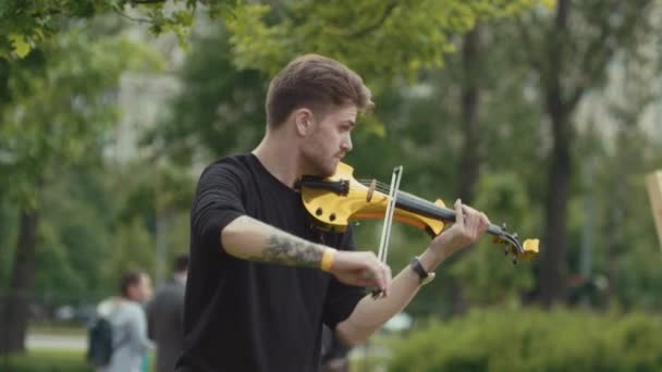 SAN PETERSBURG, RUSIA - 24 DE JUNIO DE 2017: Un joven músico termina de tocar y se inclina ante el público en el parque de la ciudad — Vídeos de Stock
