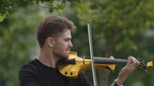 SAN PETERSBURG, RUSIA - 24 de junio de 2017: Joven músico guapo tocando el violín eléctrico en el parque de la ciudad — Vídeos de Stock