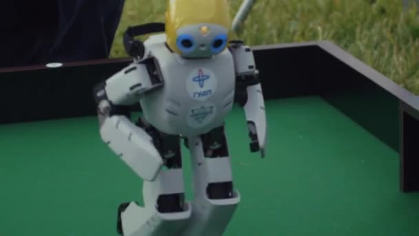 Saint Petersburg, Federacja Rosyjska - 24 czerwca 2017 r.: Little cute Człekokształtny robot chodzenie na zielonej powierzchni w parku miejskim — Wideo stockowe