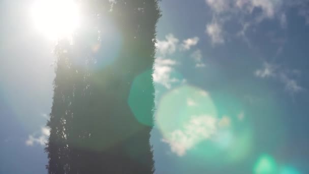 Italienska cypress siluett framför blå himmel ljusa solen — Stockvideo