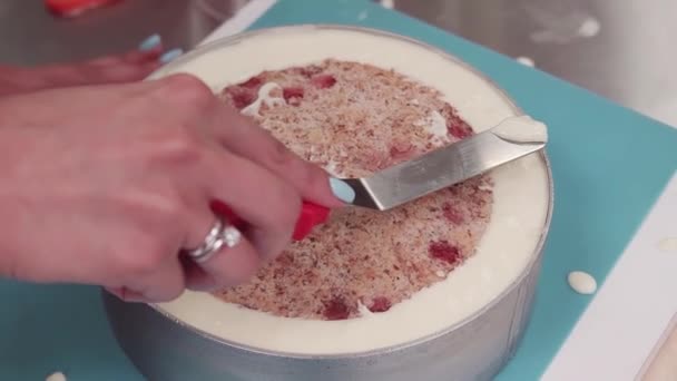 Crema suavizante de la mano del confitero femenino en bisquit de la torta en forma de hornear — Vídeo de stock