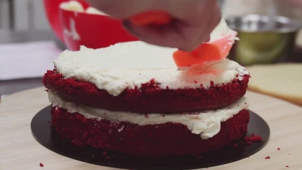 Pastelaria chef mão espalhar chantilly em bisquit bolo de frutas curtas — Vídeo de Stock