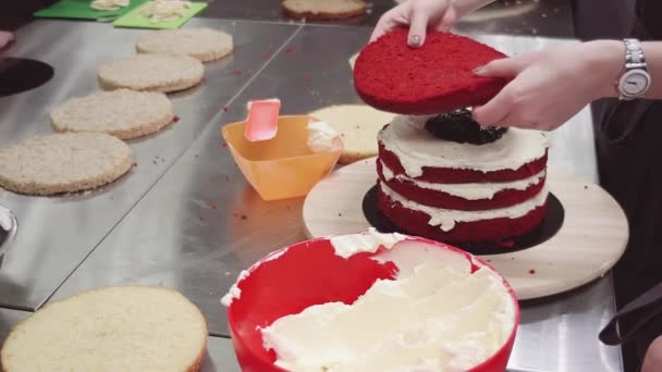 Confeiteiro feminino construindo bolo de esponja vermelha com chantilly — Vídeo de Stock