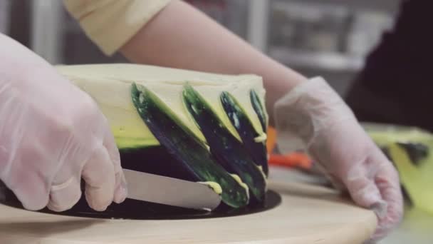 Chef de pastelaria decora creme colorido de cobertura de bolo de esponja com espátula de gelo — Vídeo de Stock