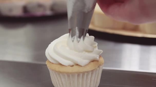Pastel de magdalenas decorado con crema batida sqeezed de la bolsa de pastelería — Vídeo de stock