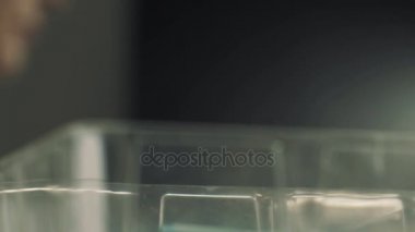 Kadın optimetritian siyah çerçeve gözlük plastik kutu koyar.