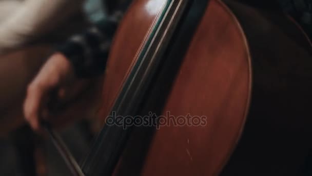 Joven músico con cola de caballo en camisa a cuadros tocando violonchelo con violín — Vídeos de Stock