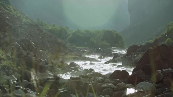 Dağ taşlı river rapids kıyısında yeşil çalılar ile — Stok video