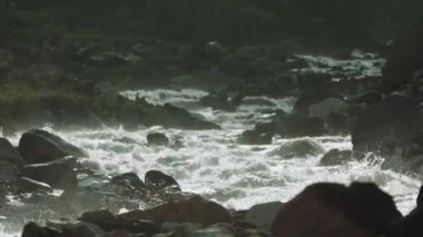 Dağ taşlı su yolu rapids kıyısında yeşil çalılar ile