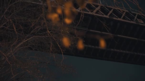 Vista del puente desde abajo con ramas de árboles secos en la noche oscura — Vídeo de stock