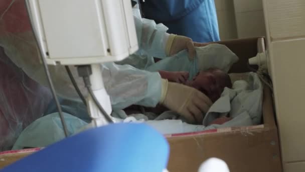 Perawat dalam sarung tangan, mantel mandi menutupi bayi yang baru lahir menangis dengan popok di rumah sakit bersalin. Anak neonate — Stok Video