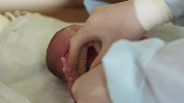 Nurse in gloves put on blue bracelet on hand of newborn baby. Maternity hospital. Neonate child — Stock Video