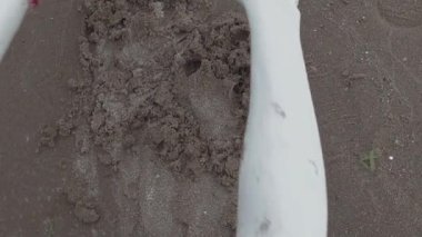 Eller sanatsal kişinin beyaz boya kaplı ıslak kum deniz kıyısında kapmak