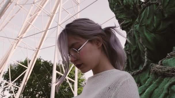 Sexy girl in glasses standing under observation wheel amusment park — Stock Video