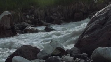 Hızlı creek Rapids'de yüksek rocky Dağları kar yeşil çalılar ile kaplı