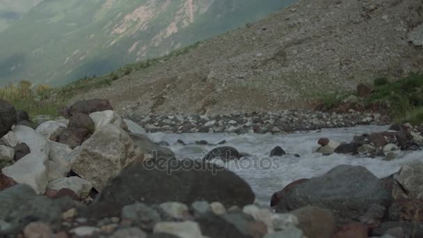 Paesaggio di fiume sassoso in montagna coperto di alberi verdi, cime innevate — Video Stock