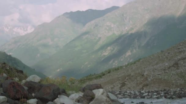 Paisaje de arroyo pedregoso en montaña cubierto de árboles verdes, picos nevados — Vídeos de Stock