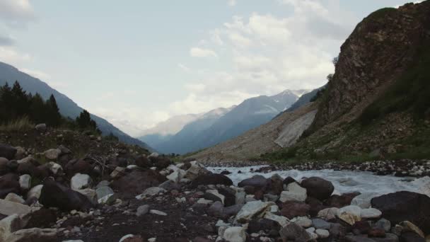 Paisaje vista del arroyo pedregoso en la montaña cubierta de árboles verdes, picos nevados — Vídeos de Stock