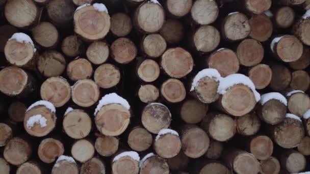 Vista panorámica de la pila de troncos cubiertos de nieve en el día de invierno — Vídeo de stock