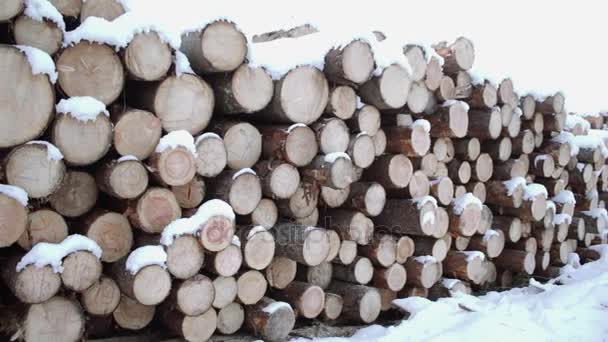 Panoramic view of huddle of lumber covered in snow on winter day — Stock Video