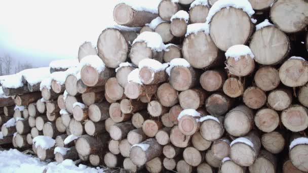 Панорамный вид на стопку древесины, покрытую снегом в зимний день — стоковое видео