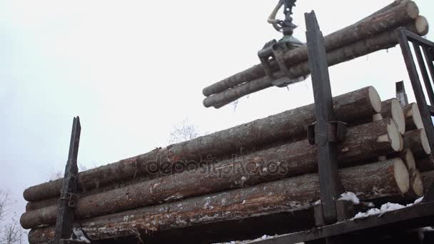 Кран розвантажує дерев'яні колоди з вантажівки на лісопильні — стокове відео