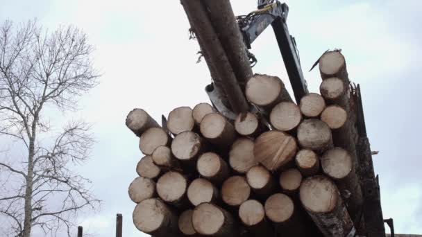 Crane arm picks up wood logs from truck at sawmill — Stock Video
