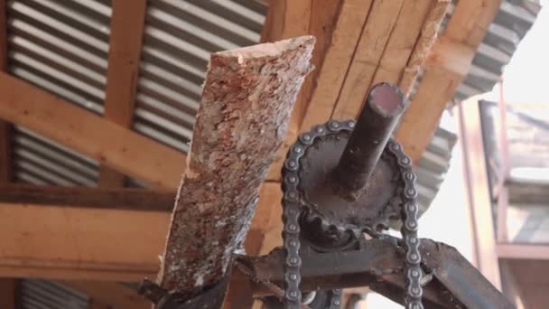 Вырубленный кусок древесины на цепном транспортере при деревообработке, много опилок — стоковое видео
