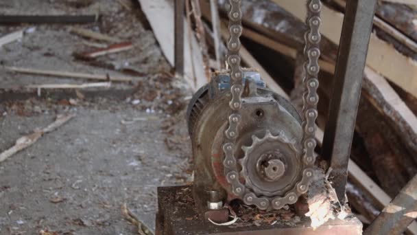 Pezzo di legno tagliato su trasportatore a catena in lavorazione del legno, un sacco di segatura — Video Stock