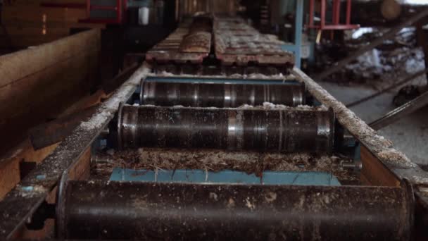 Sawmill machine cutting wood log piece, rolling metal cylinders — Stock Video
