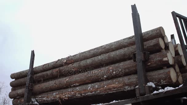 Кран-кіготь підбирає дерев'яні колоди з вантажівки на лісопильні — стокове відео
