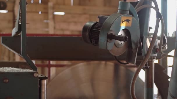 Draaiende cirkel mes snijden hout op planken op zagerij machine — Stockvideo