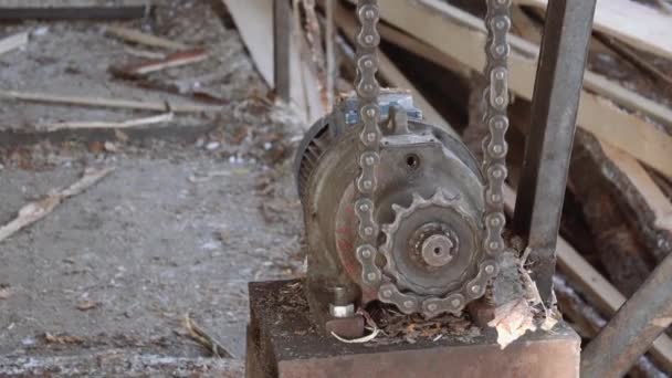 Terrón cortado de madera en el transportador de cadena en madera, mucho aserrín — Vídeos de Stock