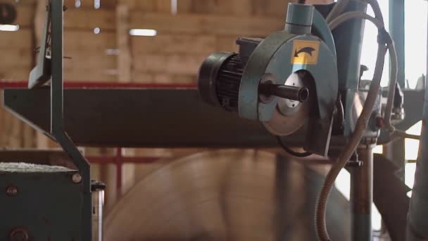 Γυρίζοντας κύκλος λεπίδα κοπής ξυλείας στα διοικητικά συμβούλια σε πριονιστήριο μηχανή — Αρχείο Βίντεο