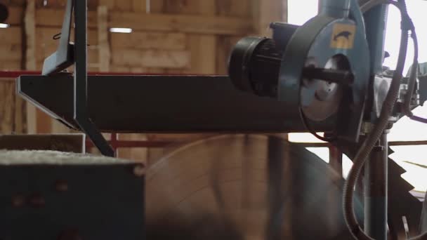 Γυρίζοντας κύκλος λεπίδα για την κοπή ξύλου σε σανίδες στο πριονιστήριο μηχάνημα — Αρχείο Βίντεο