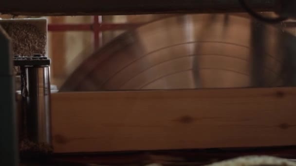 Draaiende cirkel mes snijden hout op planken op houtbewerking machine — Stockvideo