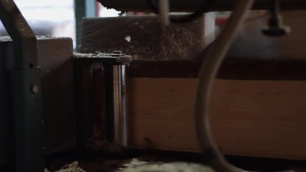 Lame de cercle tournant coupant le bois sur des planches à la machine à bois — Video