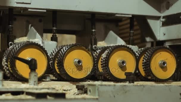 Rouleaux de la machine de raffinage de planches à la production de scierie — Video