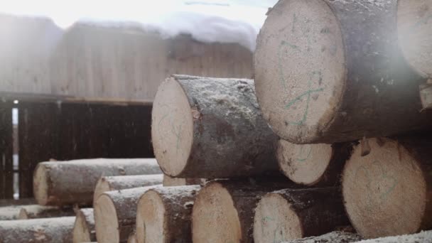 Sawdust fall on wood logs stack with numbers markers at sawmill — Stock Video