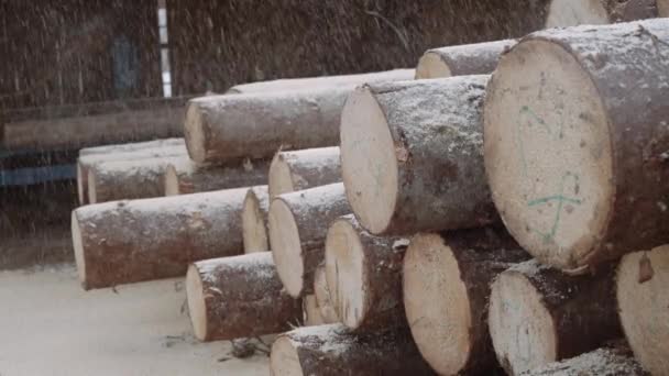 Sawdust fall on lumber logs pile with numbers markers at sawmill — Stock Video