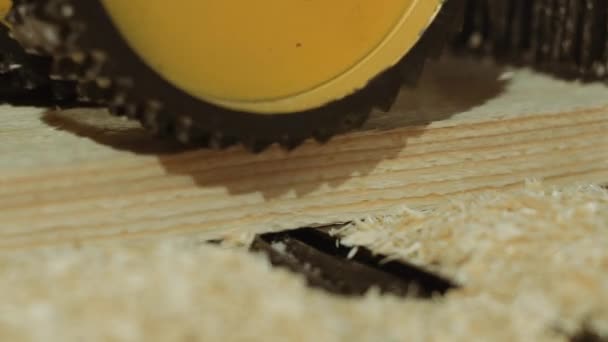 Rollende wielen van plank raffinadeur machine op lumber productie — Stockvideo
