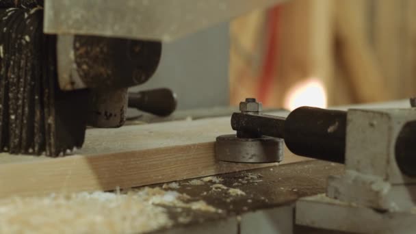 Plank riding on wood edger machine at woodwork factory — Stock Video