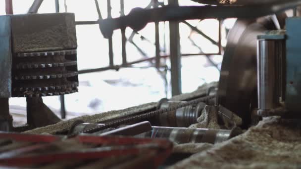 Large metal circular saw spinning in machine at sawmill factory — Stock Video