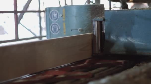 Taglio di blocchi di alberi su sega circolare metallica in macchina presso la fabbrica di lavorazione del legno — Video Stock
