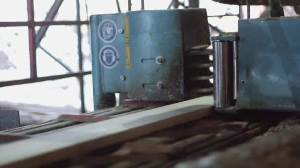 Різання дерев'яної дошки на металевій циркулярній пилці в машині на деревообробному заводі — стокове відео