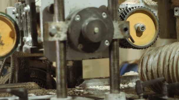 Rollende wielen van blok raffinadeur machine bij Houtzagerij-productie — Stockvideo