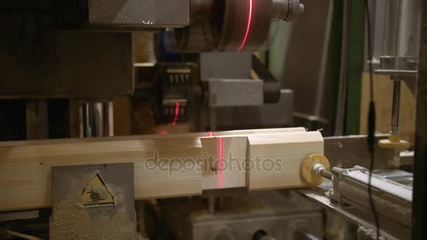 Houtbewerking machine maakt furrow op hout blok bij de faciliteit van de zagerij — Stockvideo