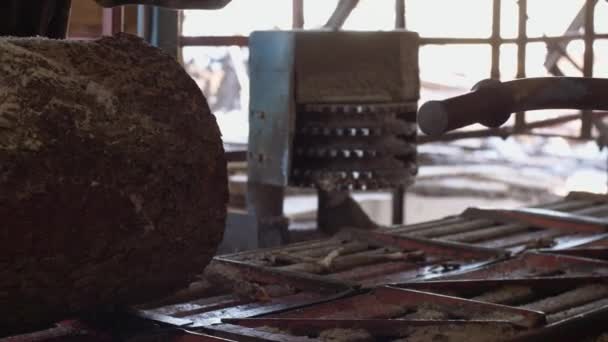 Wood log running on metal circular saw in machine at woodwork factory — Αρχείο Βίντεο