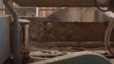 Endüstriyel iplik kurullarında Doğrama makinesi, günlük kesme gördüm